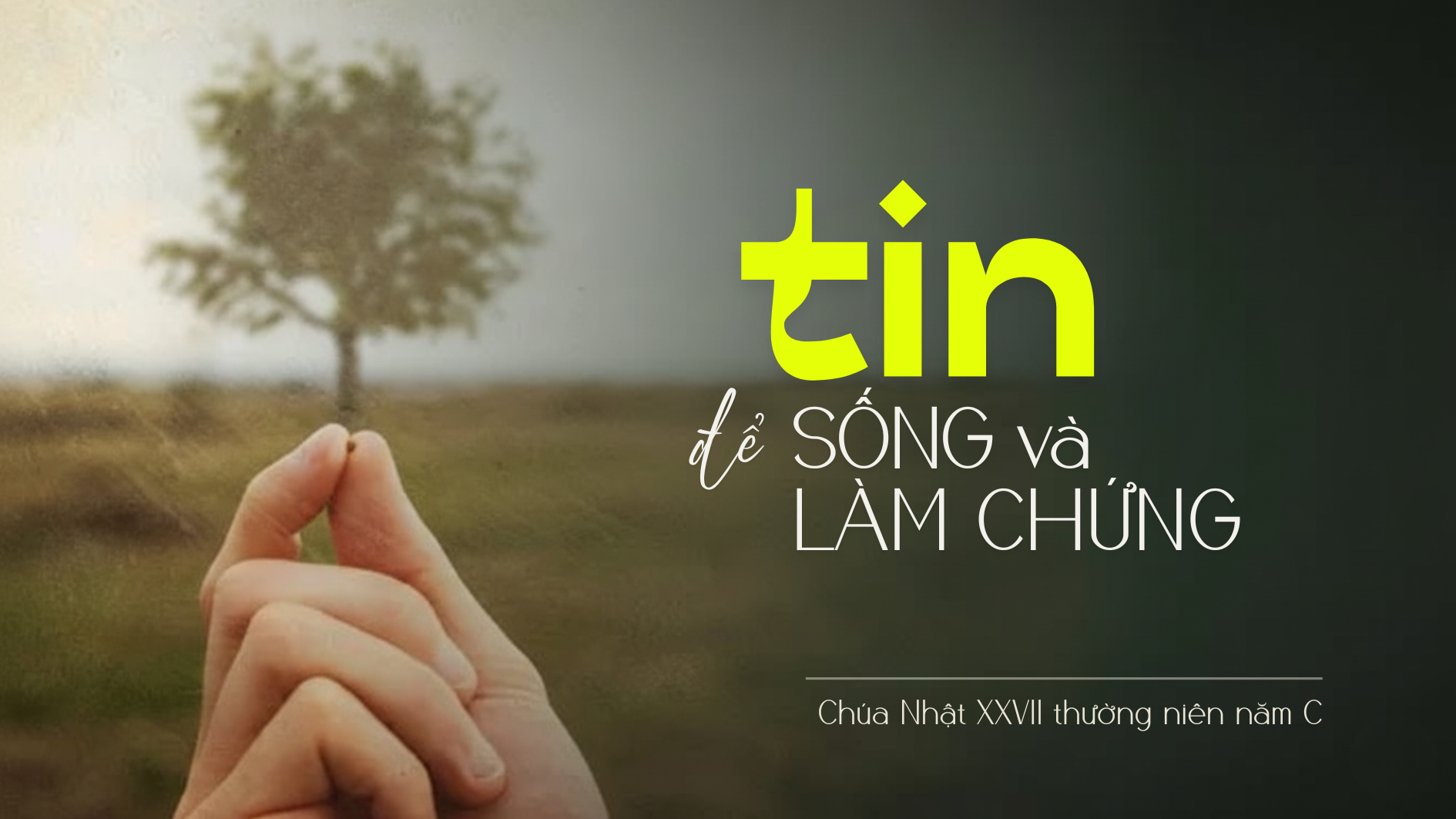Tin để sống và làm chứng